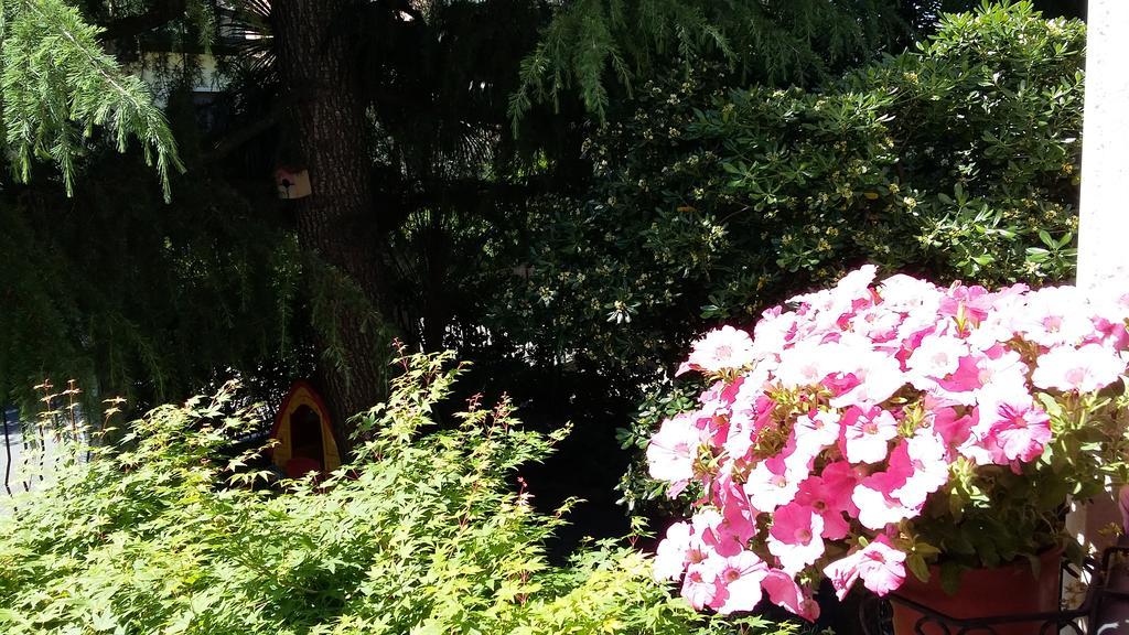 B&B Il Paiolo Desenzano del Garda Zewnętrze zdjęcie